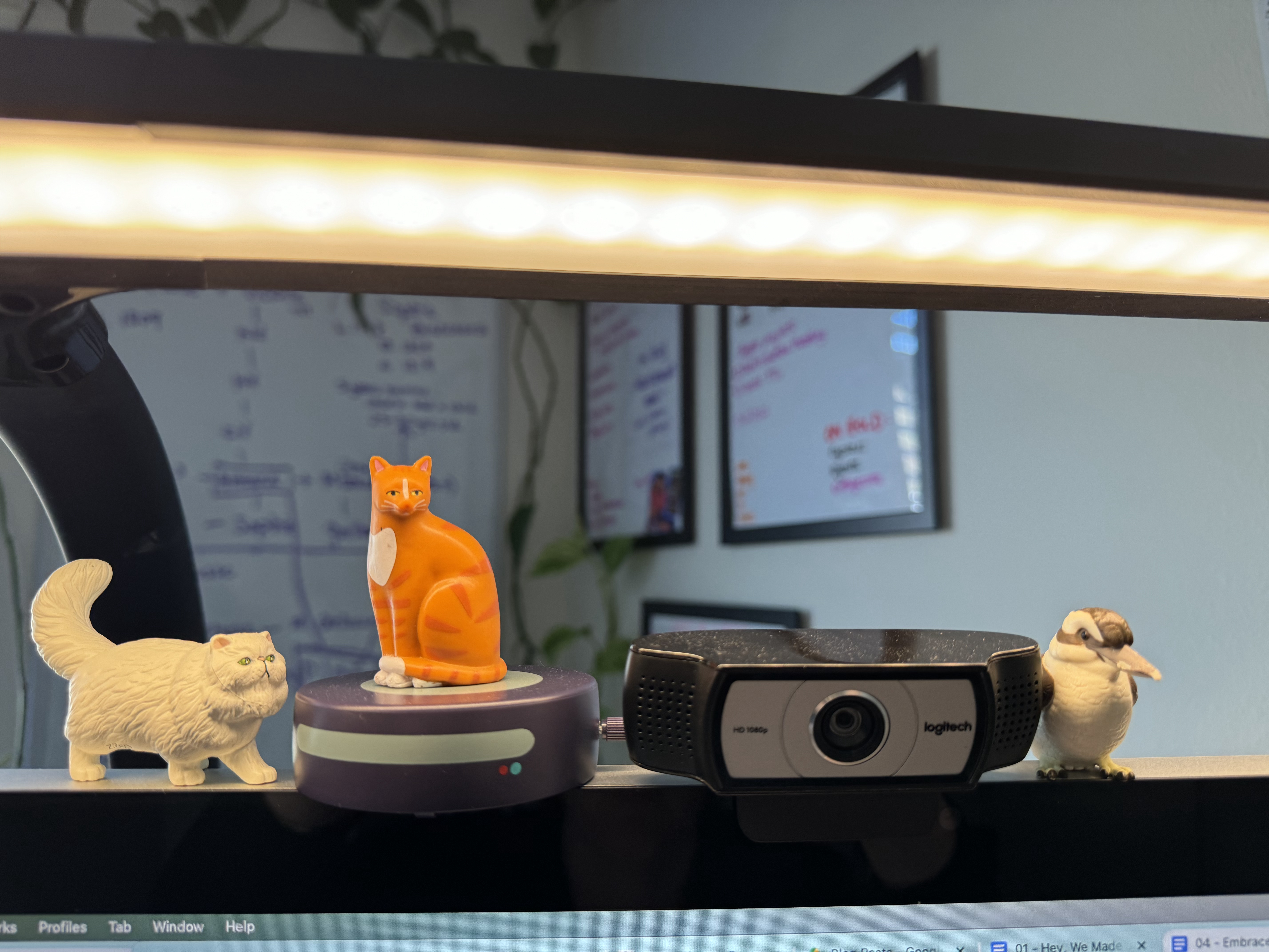 The top of a computer screen, where a white cat, an orange cat atop a roomba, and a brown-and-white kookaburra figurine stand around a slightly dusty webcam.