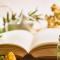 Stories are . . . Glasses for the Soul