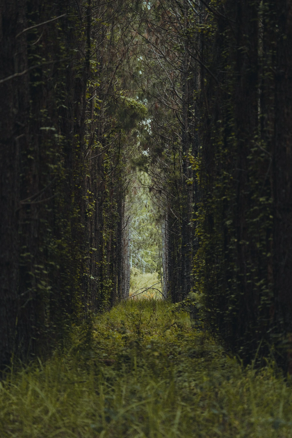 Is Your Character's Journey at a Standstill?